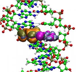 DNA orbs