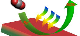 Photoelectrochemical Catalysis