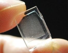 Allen Yi Research Pic
