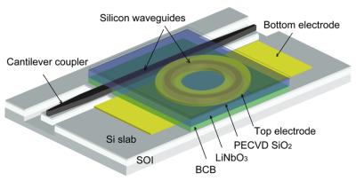 Reano Optical Chip