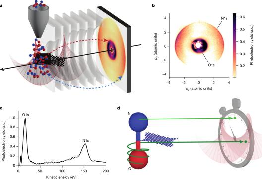 Figure One from Nature Article