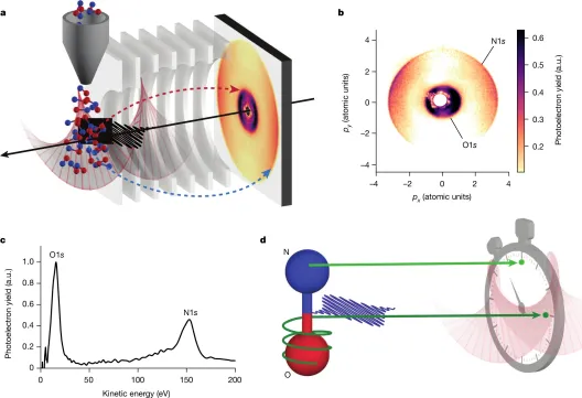 Figure One from Nature Article