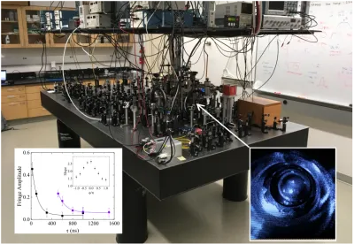 Reinhard Research Fig 2